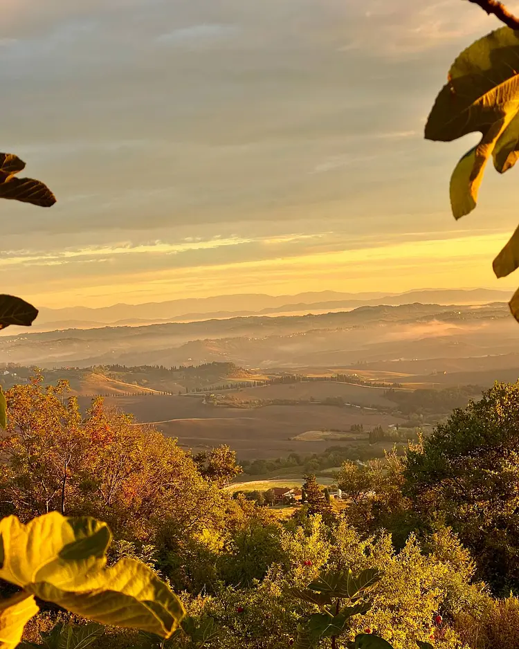 Capraleccia - Orciatico, Italy | Good Travel