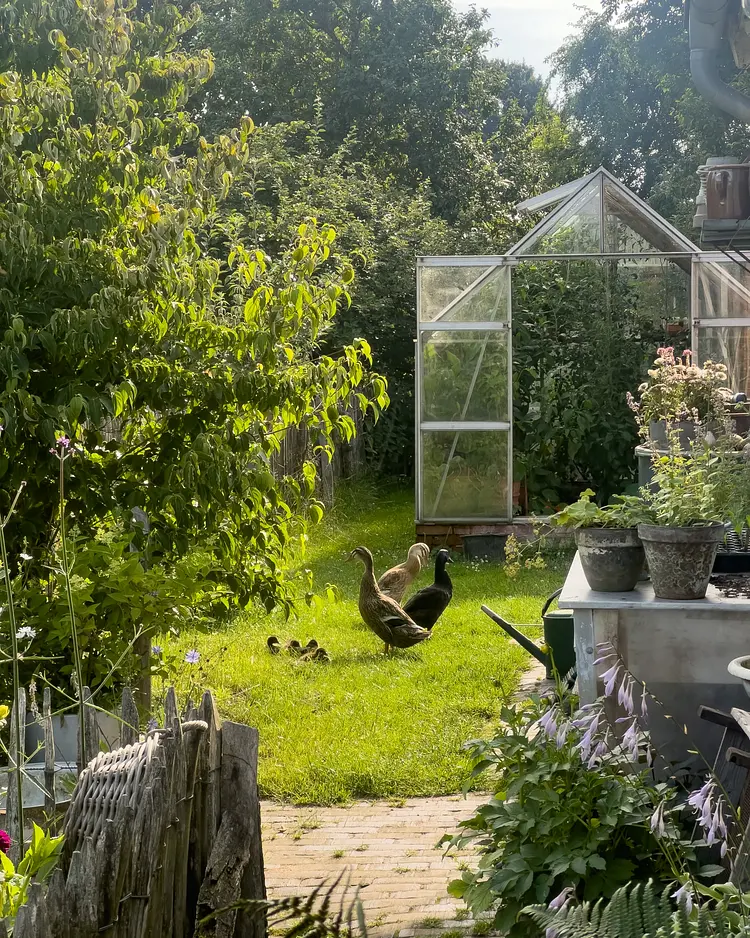 Sande 7 - Ziethen, Germany | Good Travel