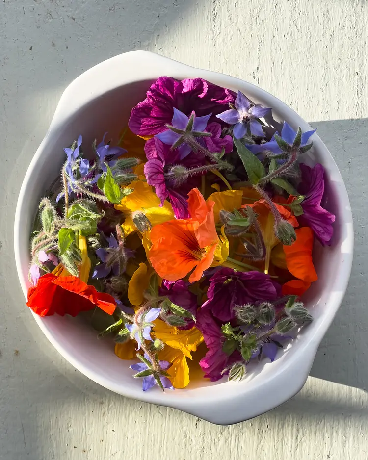 Sande 7 - Ziethen, Germany | Good Travel