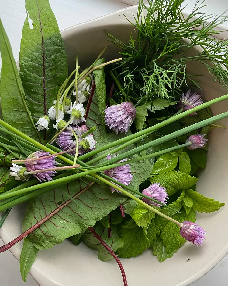 Sande 7 - Ziethen, Germany | Good Travel