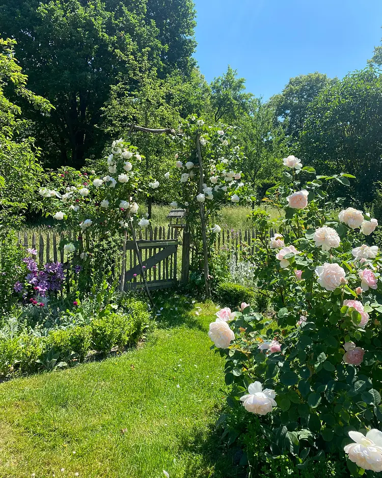 Sande 7 - Ziethen, Germany | Good Travel