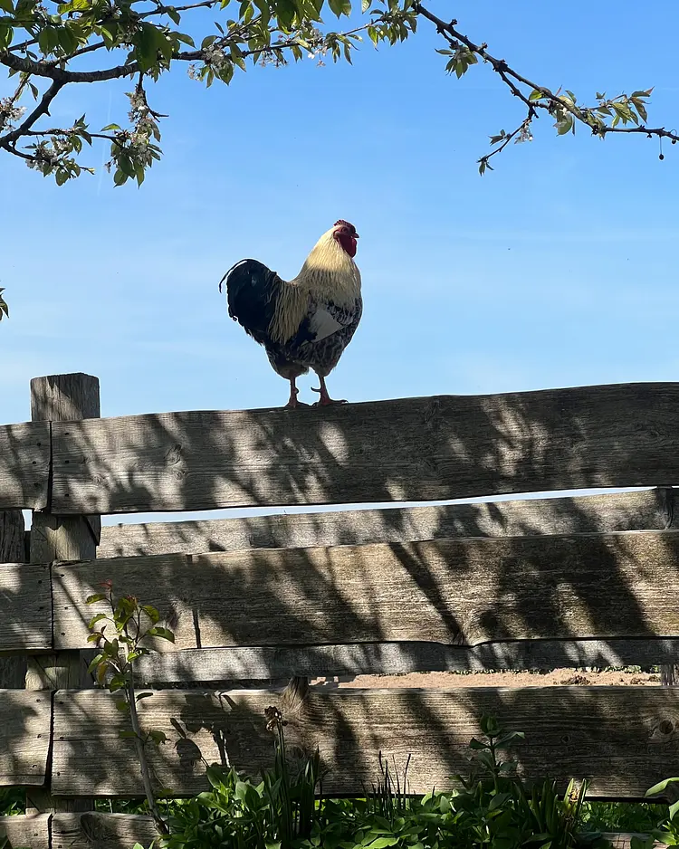 Sande 7 - Ziethen, Germany | Good Travel