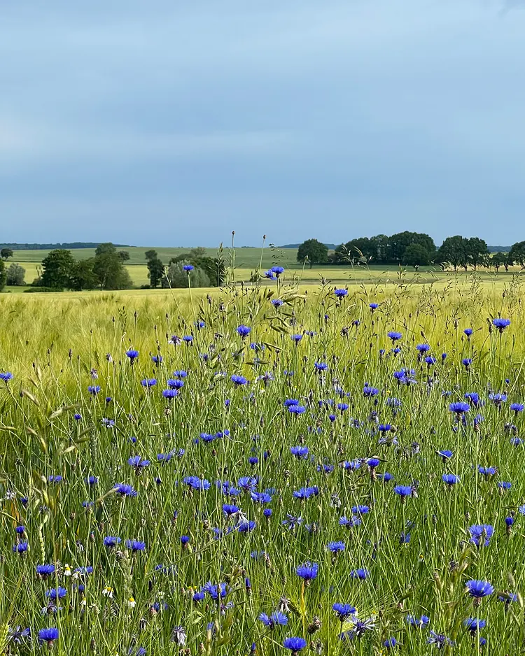 Sande 7 - Ziethen, Germany | Good Travel