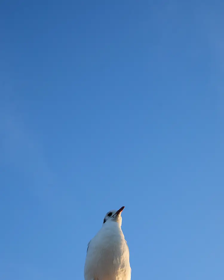 Mann & Fru - Ostseebad Wustrow, Deutschland | Good Travel