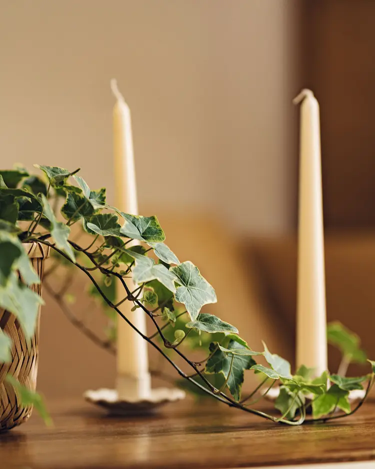 Tiny House Algarve - Lagos, Portugal | Good Travel