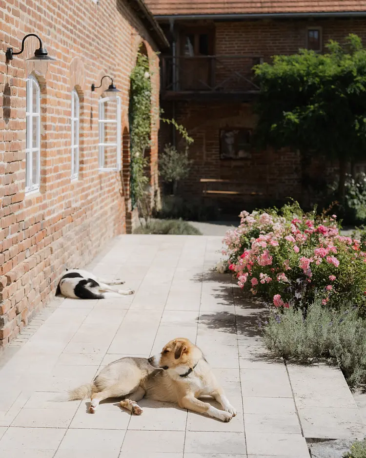 Denharten - Tann, Germany | Good Travel