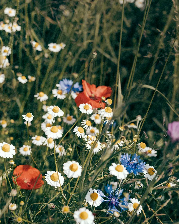 Denharten - Tann, Germany | Good Travel