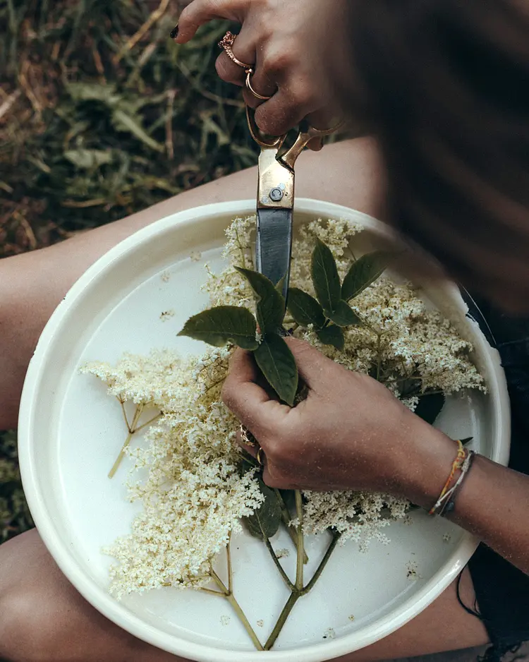 Denharten - Tann, Germany | Good Travel