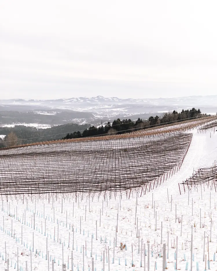 Schilcherlandleben - St. Stefan ob Stainz, Österreich | Good Travel