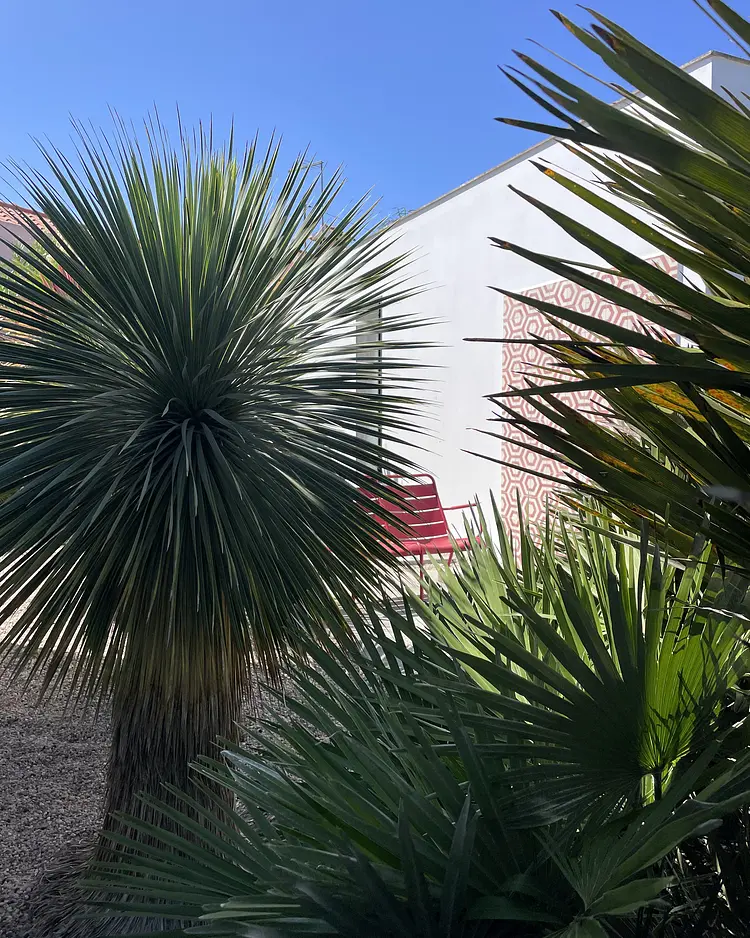 Flamboyant Boutique B&B - Serra do Bouro, Portugal | Good Travel