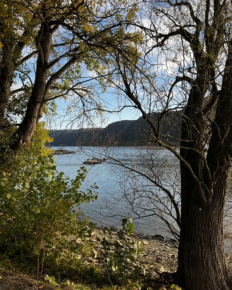THOMI Feriengasthaus - Oberwesel, Germany | Good Travel