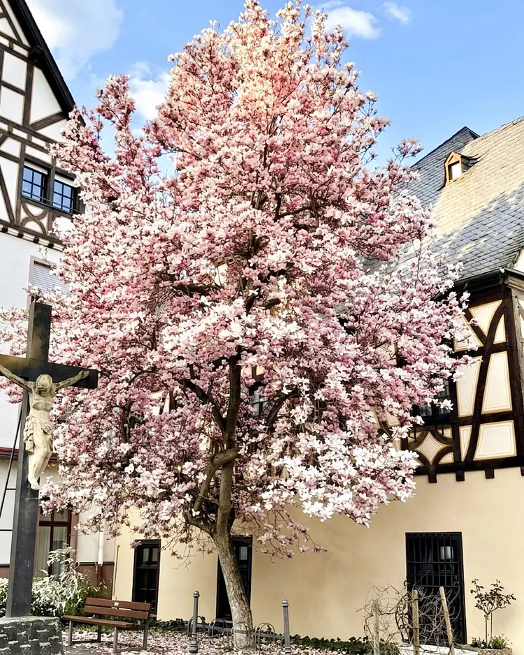 THOMI Feriengasthaus - Oberwesel, Germany | Good Travel