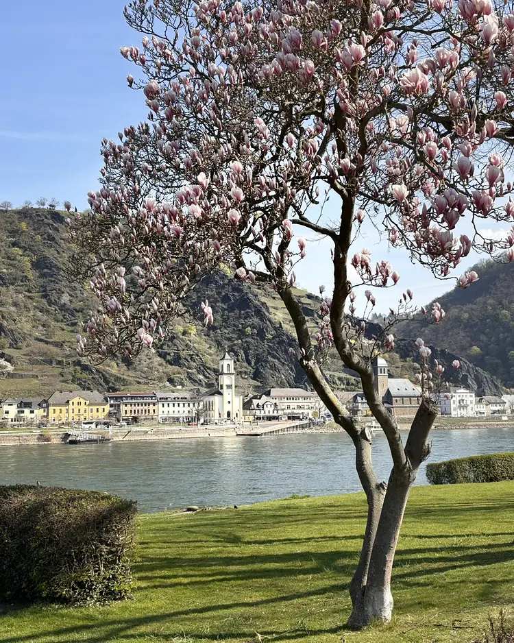 THOMI Feriengasthaus - Oberwesel, Germany | Good Travel