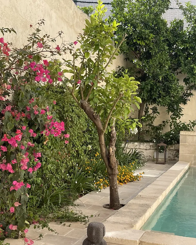 PALAZZO SAETTA - Nardò (Lecce), Italien | Good Travel