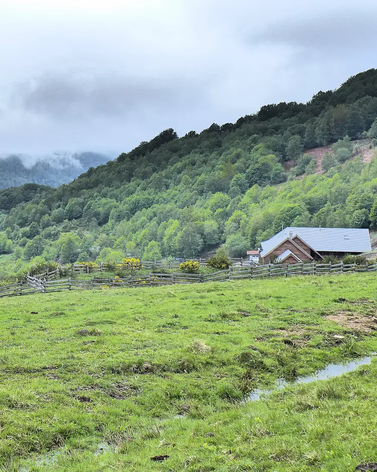 Ferme Auberge Fennematt - Dolleren, Frankreich | Good Travel