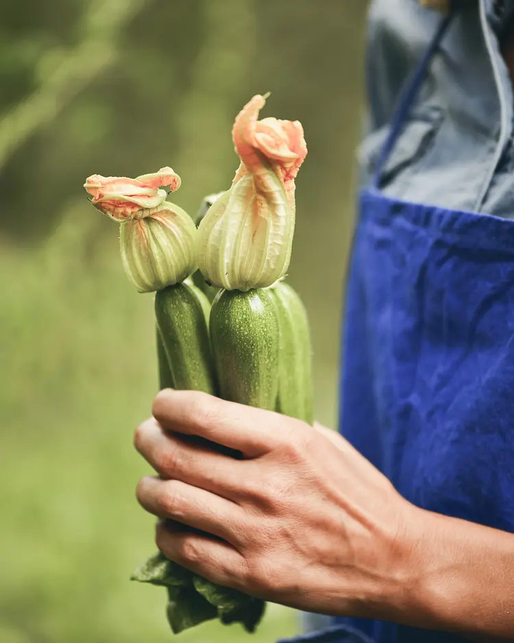 Karerhof - Welschnofen, Italien | Good Travel