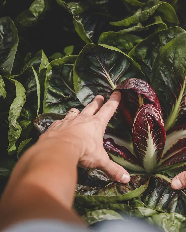 Der Hof - Perntal Retreat - Gais, Italien | Good Travel