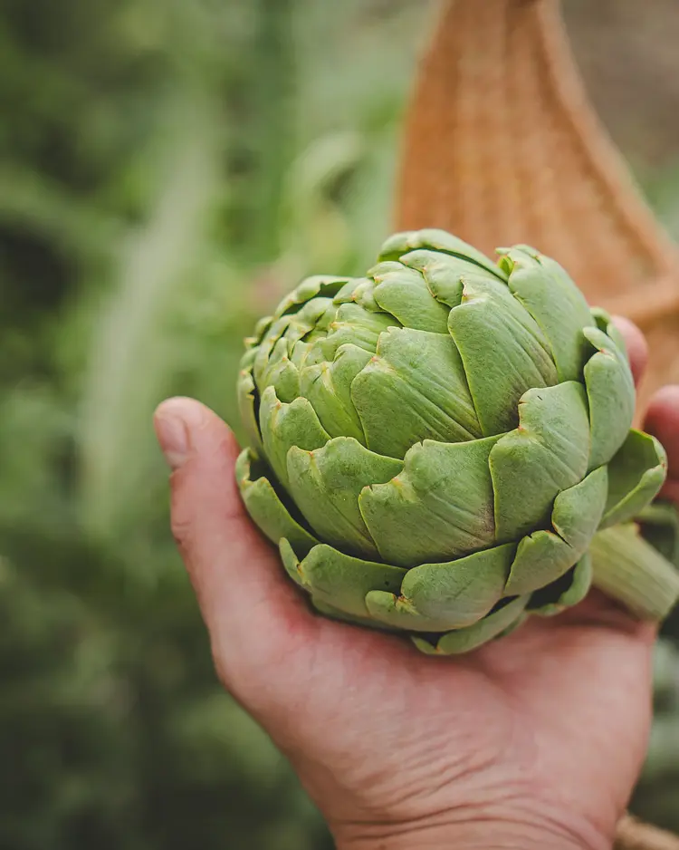 Der Hof - Perntal Retreat - Gais, Italien | Good Travel