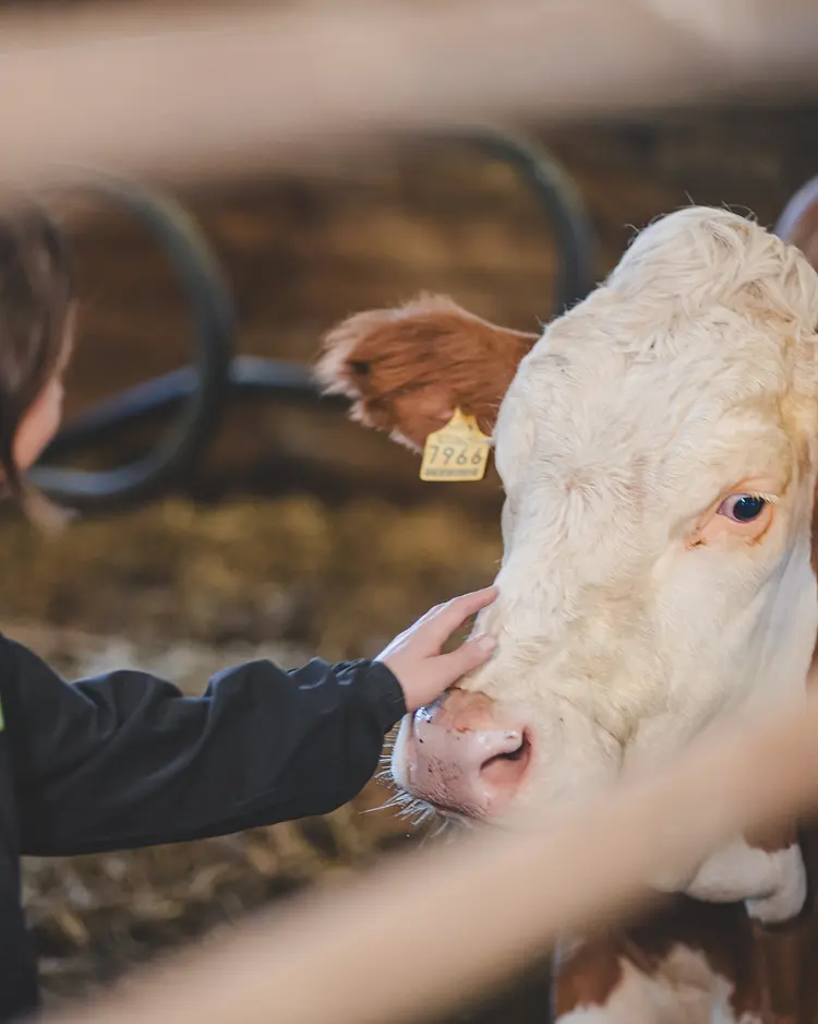 Der Hof - Perntal Retreat - Gais, Italien | Good Travel