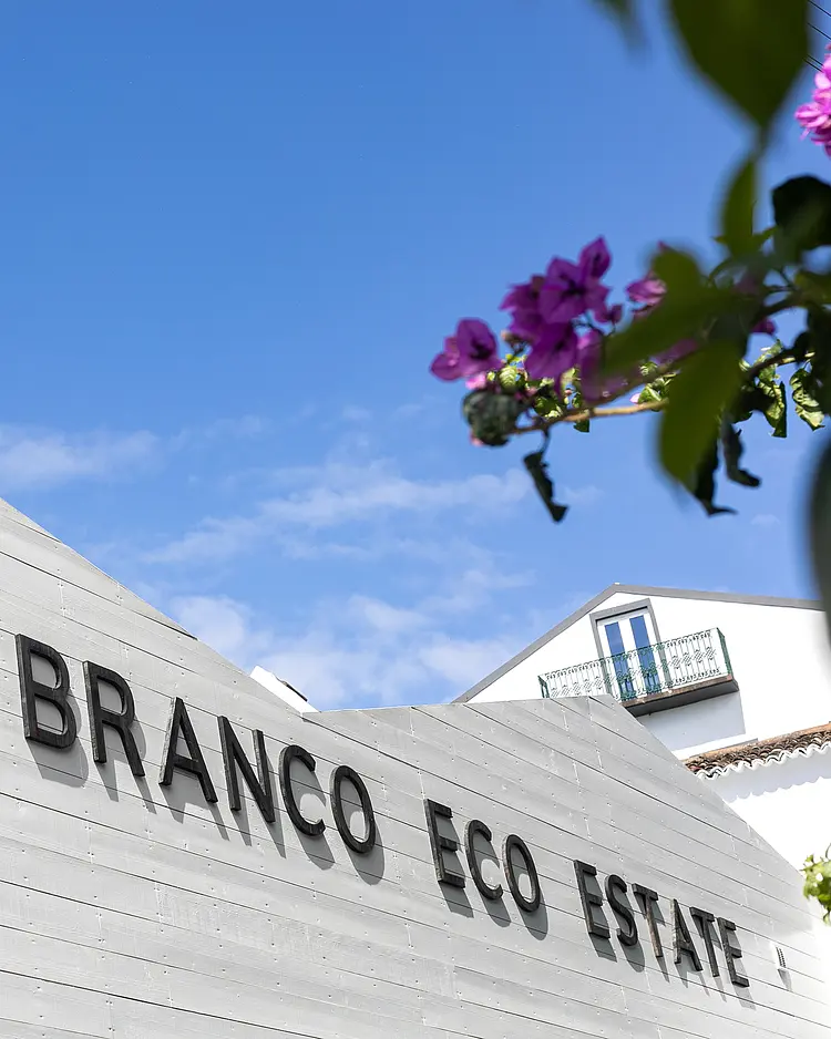 Solar Branco - Ponta Delgada (São Miguel Island), Portugal | Good Travel