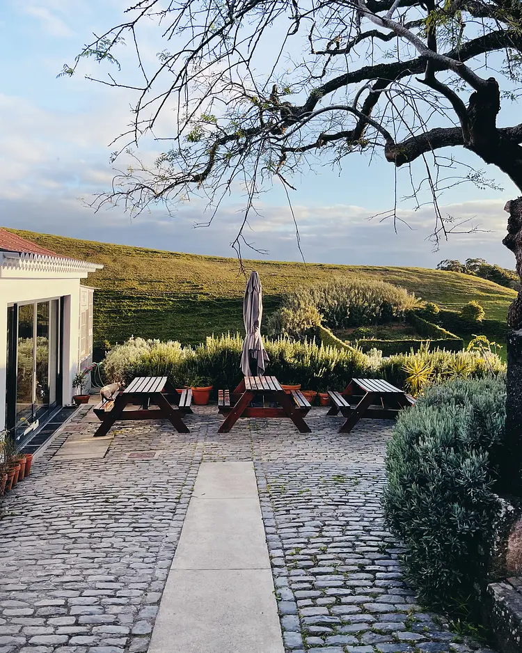 Solar Branco - Ponta Delgada (São Miguel Island), Portugal | Good Travel