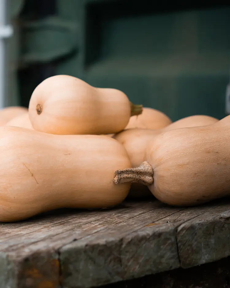 Solar Branco - Ponta Delgada (São Miguel Island), Portugal | Good Travel