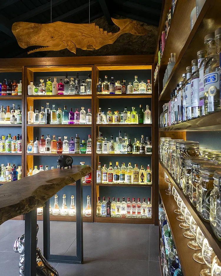 Solar Branco - Ponta Delgada (São Miguel Island), Portugal | Good Travel