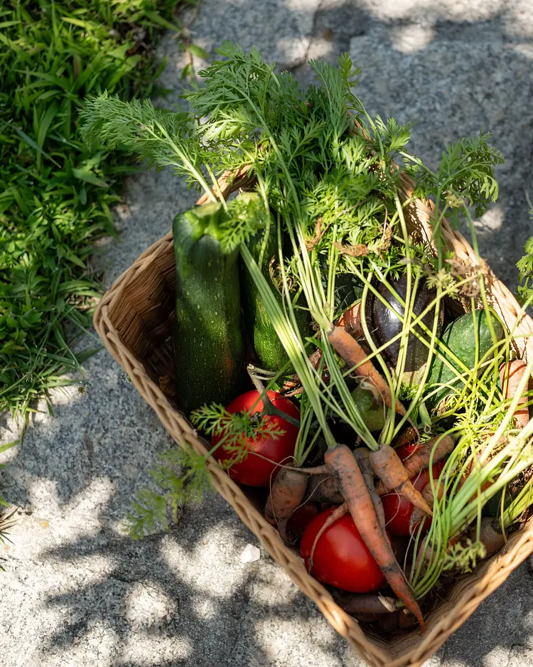 Oakstone Hills - Nelas, Portugal | Good Travel