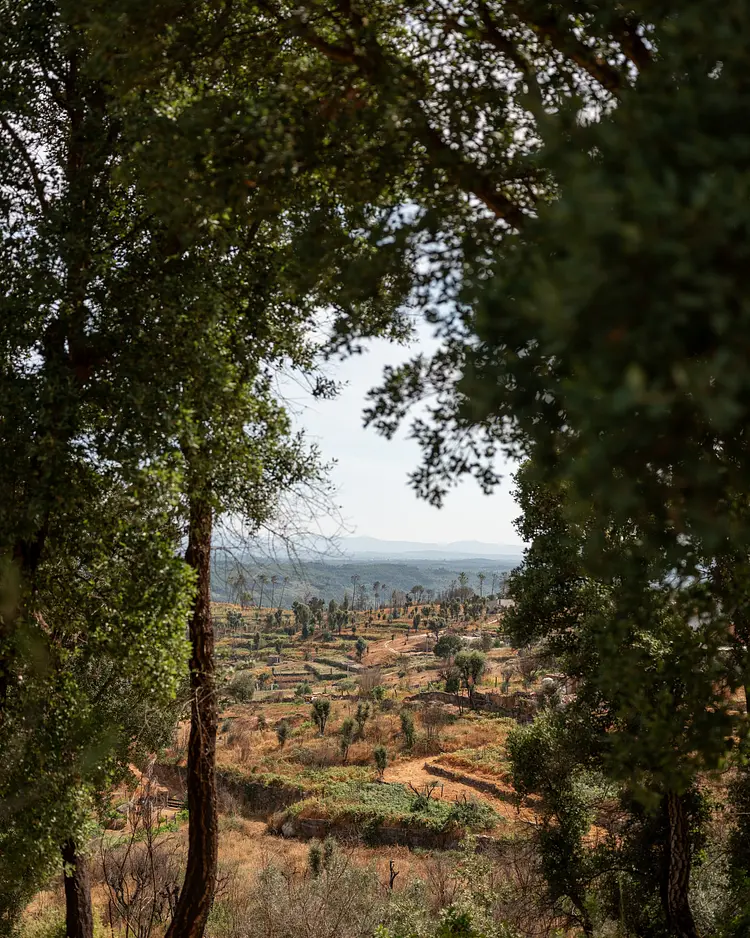 Oakstone Hills - Nelas, Portugal | Good Travel