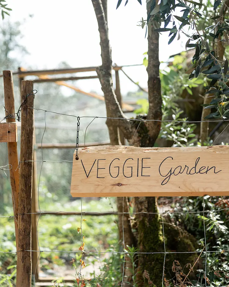 Oakstone Hills - Nelas, Portugal | Good Travel