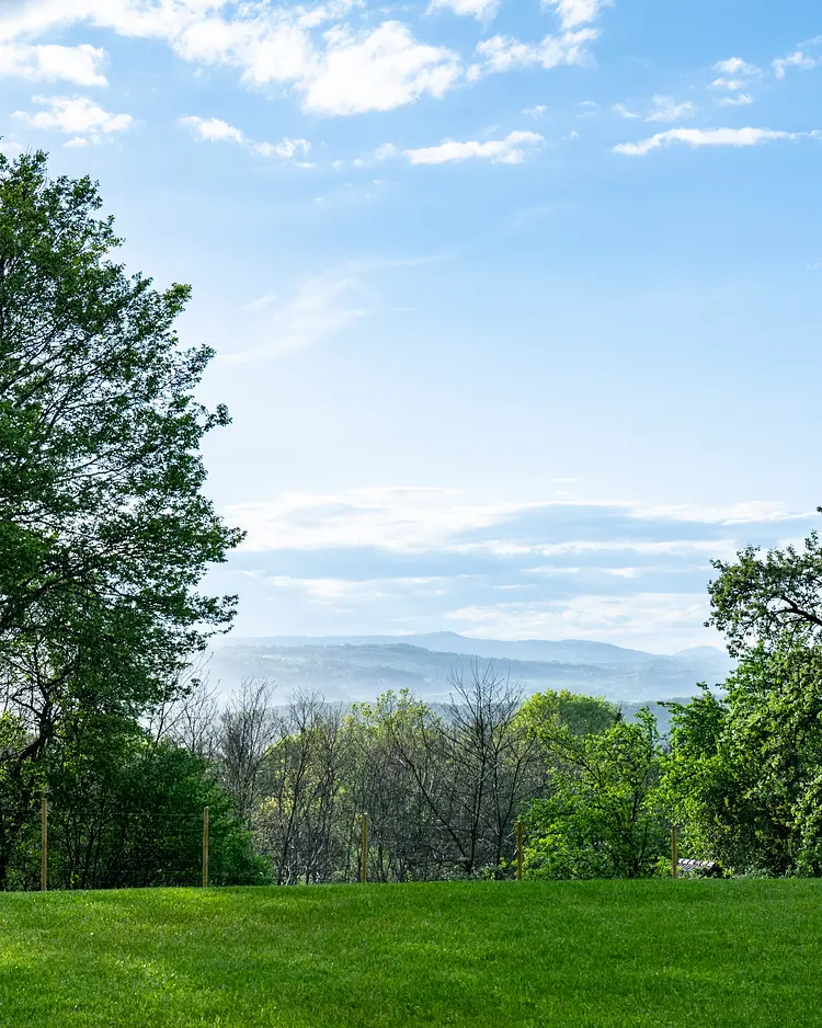 Monstera Estate - Grad, Slovenia | Good Travel