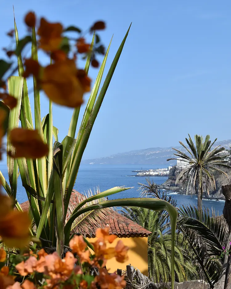 Finca San Pedro - Los Realejos (Teneriffa), Spanien | Good Travel