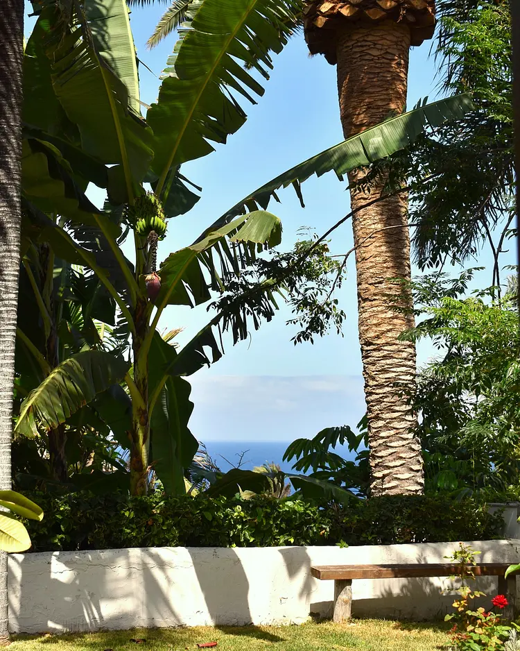 Finca San Pedro - Los Realejos (Teneriffa), Spanien | Good Travel