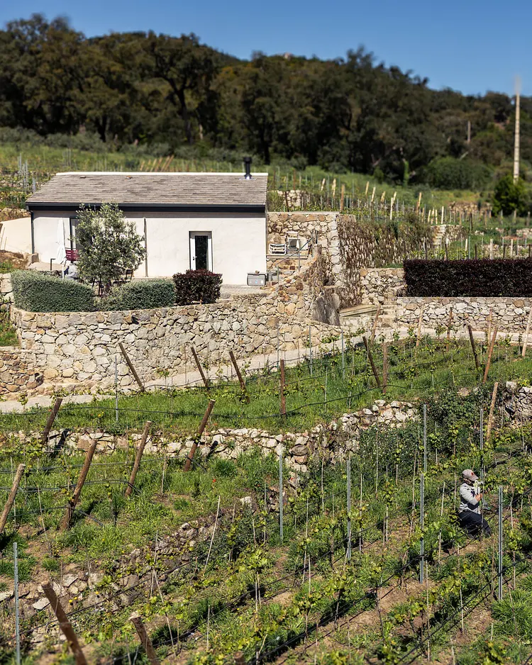 Quinta da Lila - Monchique, Portugal | Good Travel