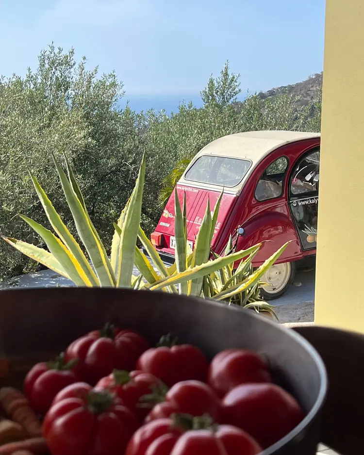 Kalyvitis - Orino, Greece | Good Travel