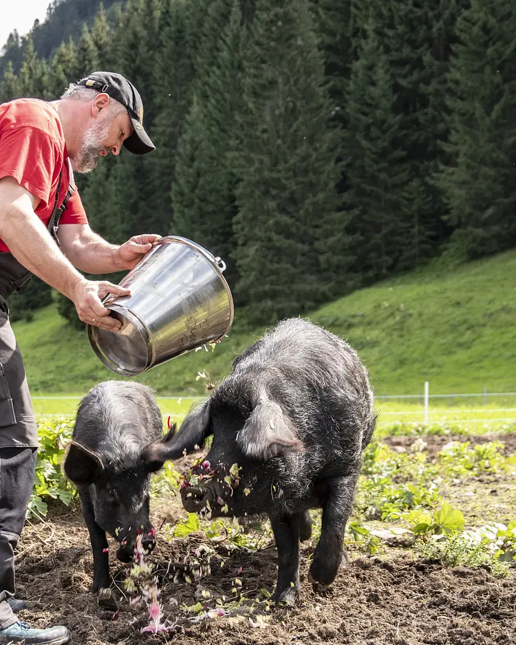 Biohotel Walserstuba - Riezlern (Kleinwalsertal), Austria | Good Travel