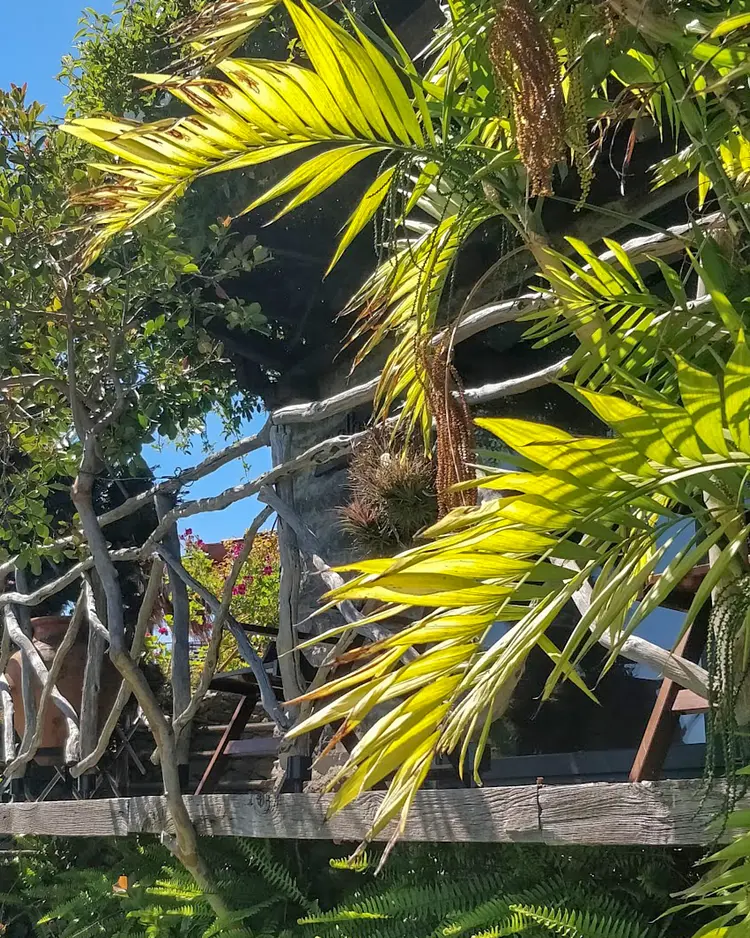 Calhau Grande - Arco da Calheta, Portugal | Good Travel