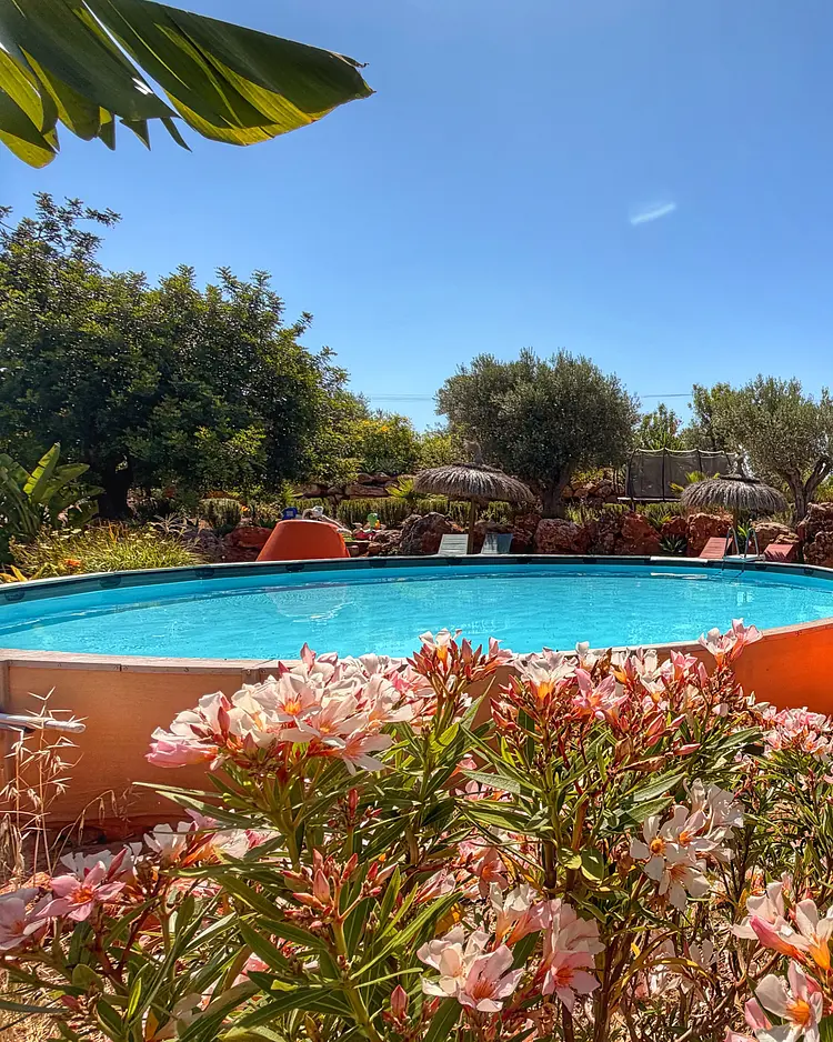 Quinta Jabuti - Moncarapacho, Portugal | Good Travel