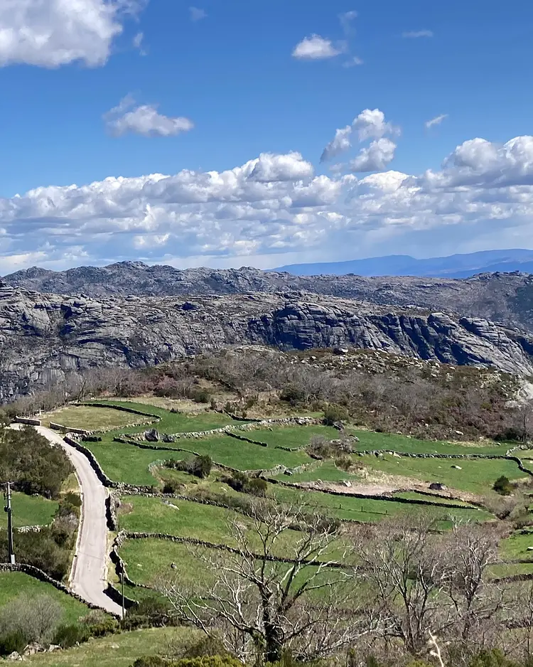 Flores do Vez - Sistelo, Portugal | Good Travel