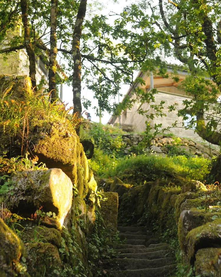 Flores do Vez - Sistelo, Portugal | Good Travel
