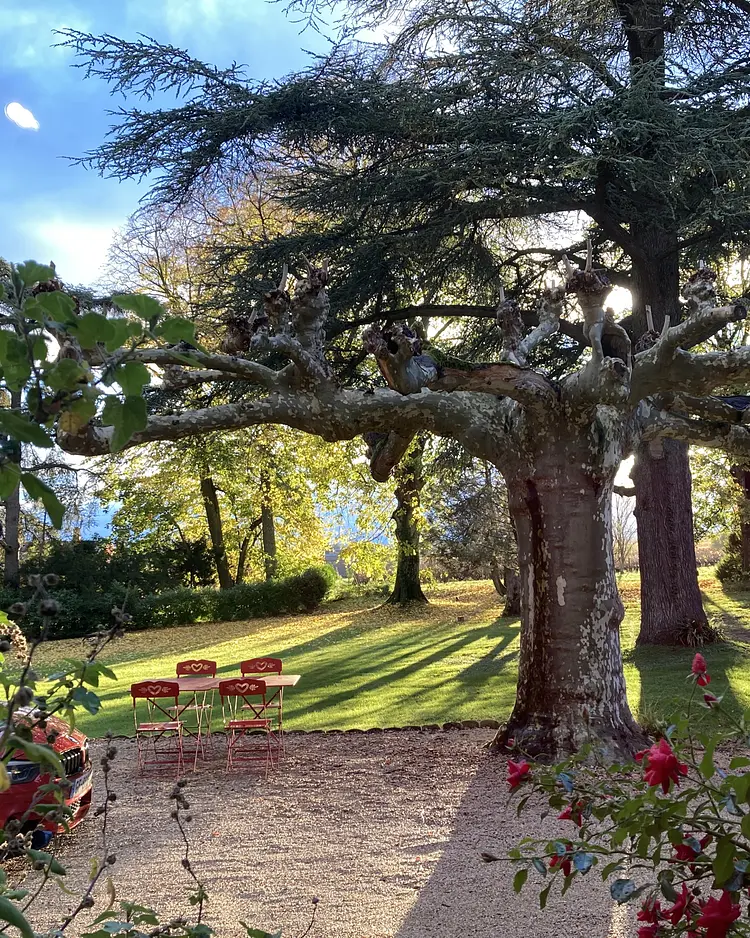 Clos Ceres - Viré, France | Good Travel