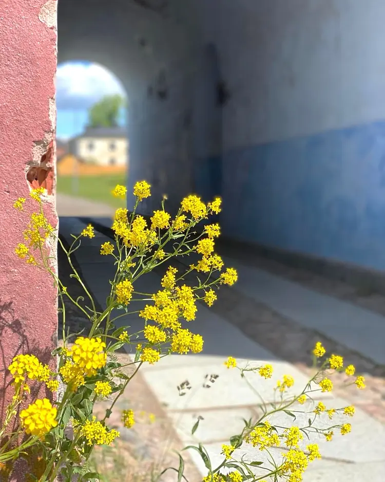 Hostel Suomenlinna - Helsinki, Finnland | Good Travel