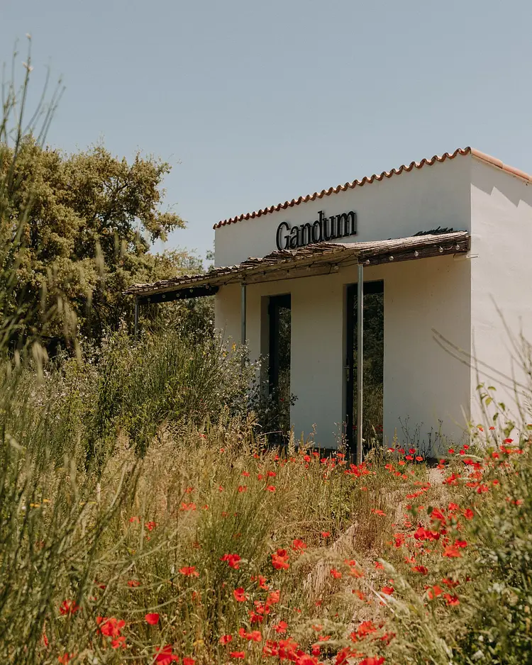 Gandum Village - Montemor-o-Novo, Portugal | Good Travel