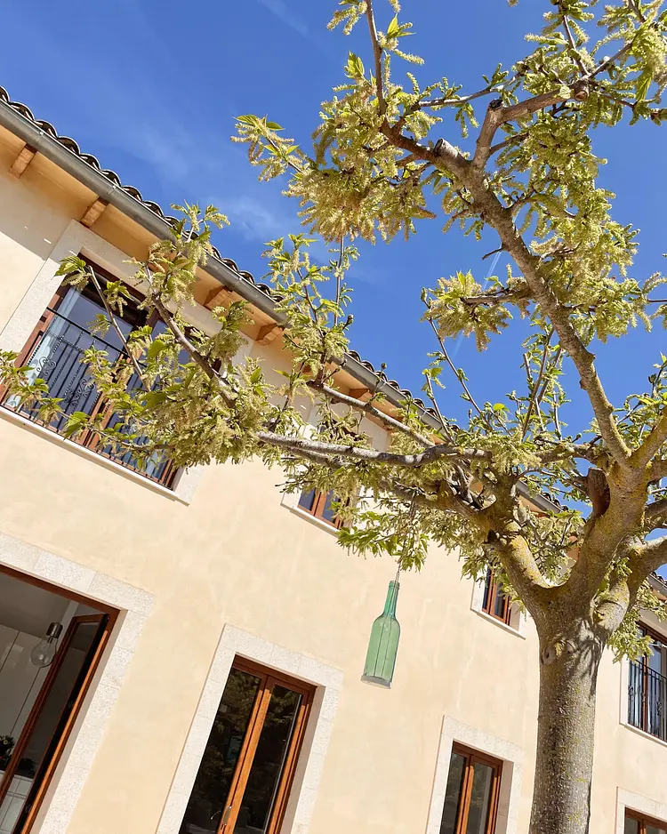 Finca Colmina Mallorca - Mallorca, Spanien | Good Travel