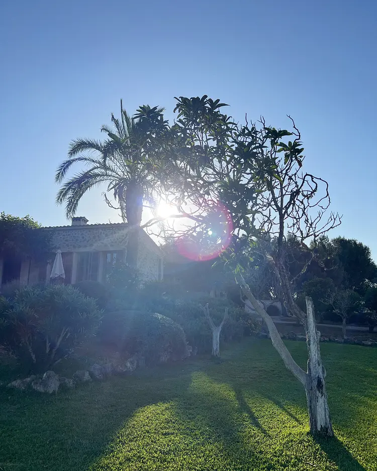 Finca Colmina Mallorca - Mallorca, Spanien | Good Travel
