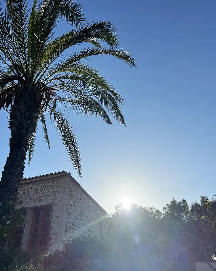 Finca Colmina Mallorca - Mallorca, Spanien | Good Travel