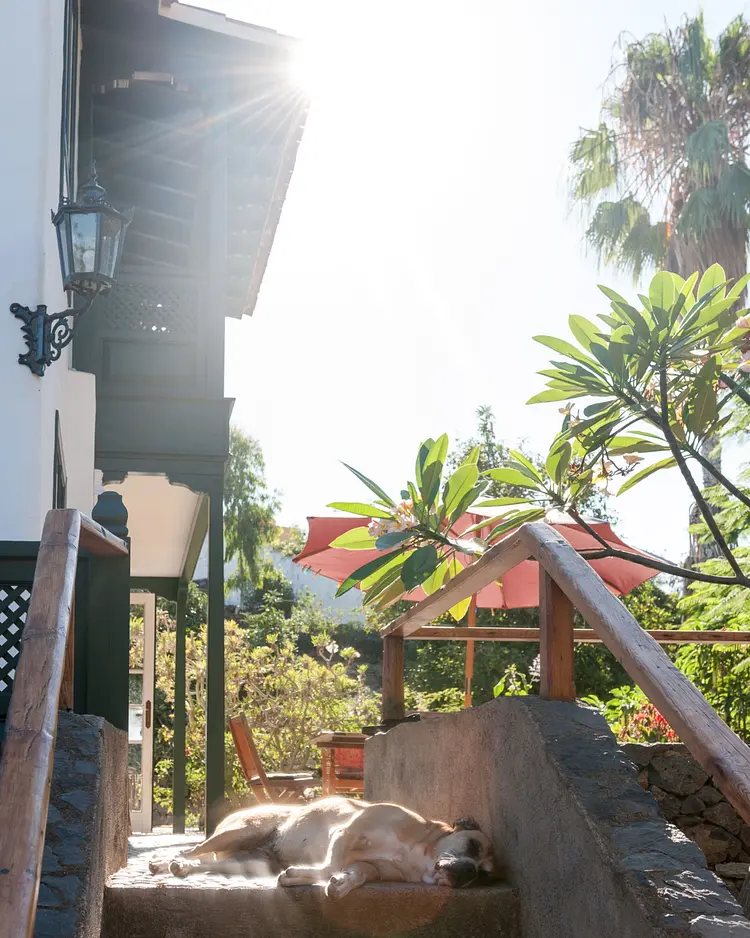 Finca El Quinto - Teneriffa, Spanien | Good Travel