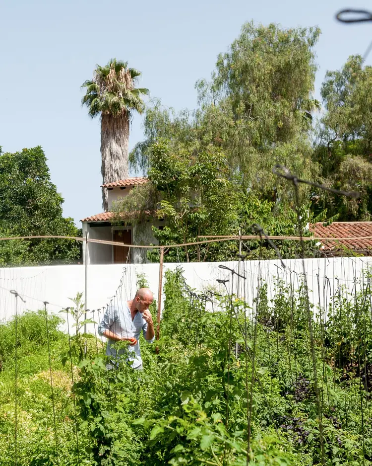 Finca El Quinto - Teneriffa, Spain | Good Travel