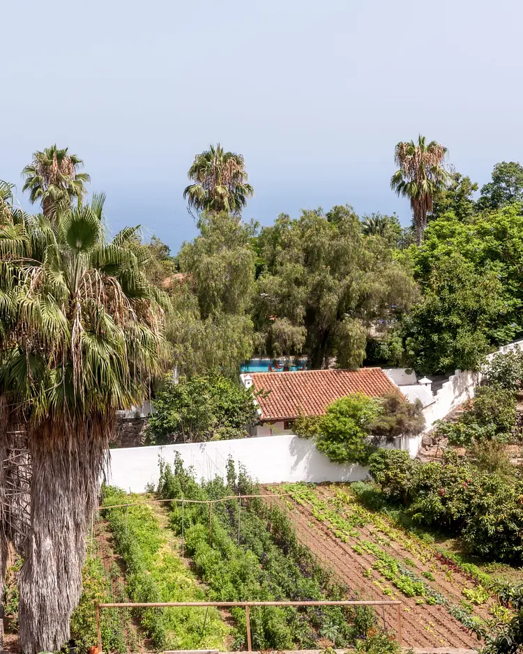 Finca El Quinto - Teneriffa, Spain | Good Travel
