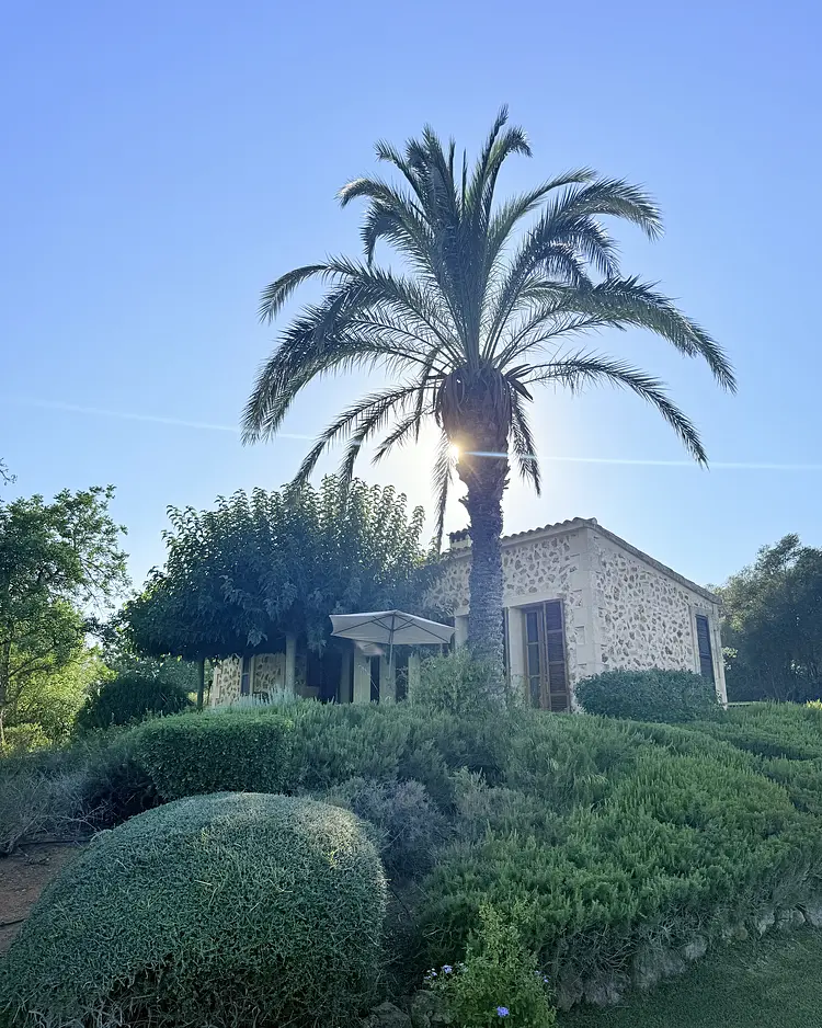 Finca Colmina Mallorca - Mallorca, Spain | Good Travel